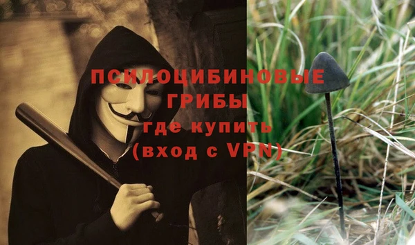 соль ск Алексин