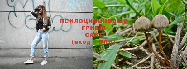 соль ск Алексин