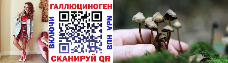 MEGA ССЫЛКА  Лысково  Галлюциногенные грибы Cubensis 